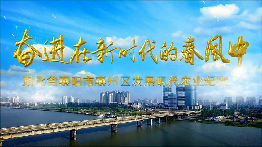 &#21315;&#20159;&#23448;&#32593;&#45;&#21315;&#20159;&#65288;&#20013;&#22269;&#65289;&#19968;&#31449;&#24335;&#26381;&#21153;&#23448;&#32593;